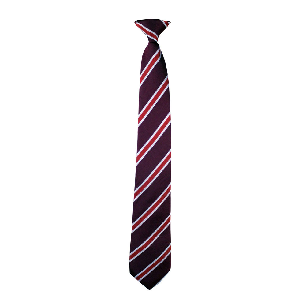 Specials Ties for School & College