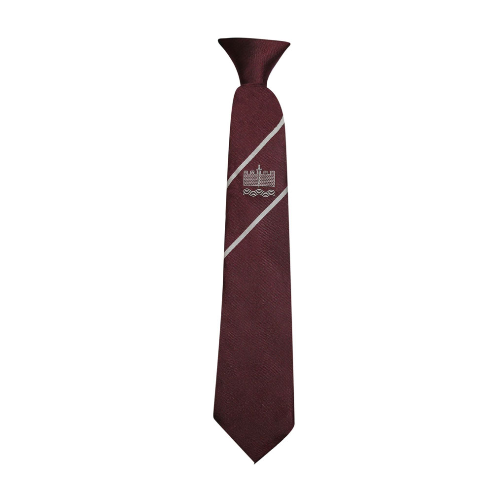 Specials Ties for School & College