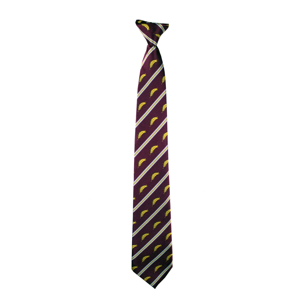 Specials Ties for School & College