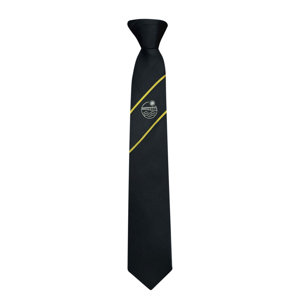 Specials Ties for School & College