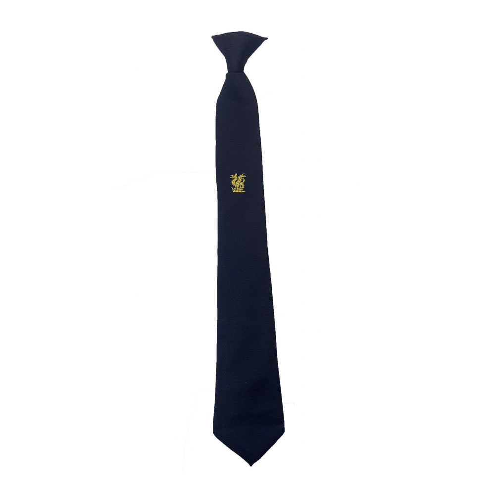 Specials Ties for School & College