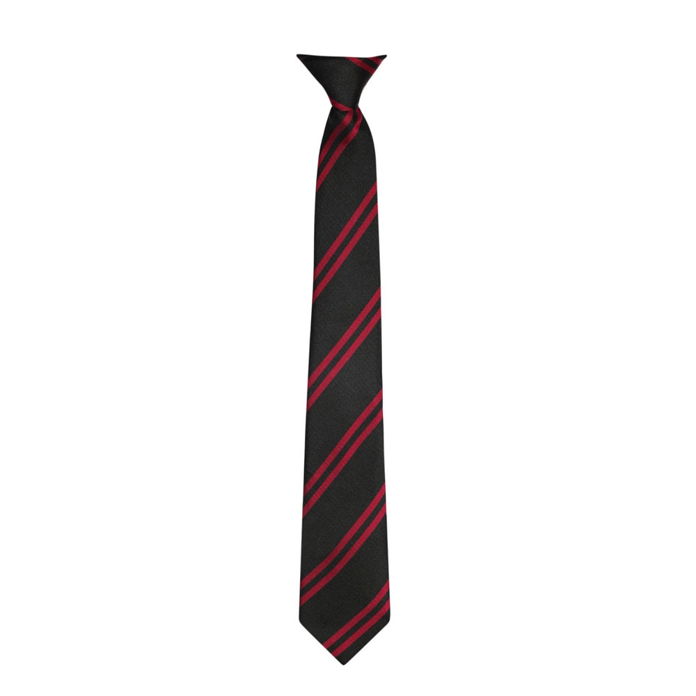Specials Ties for School & College